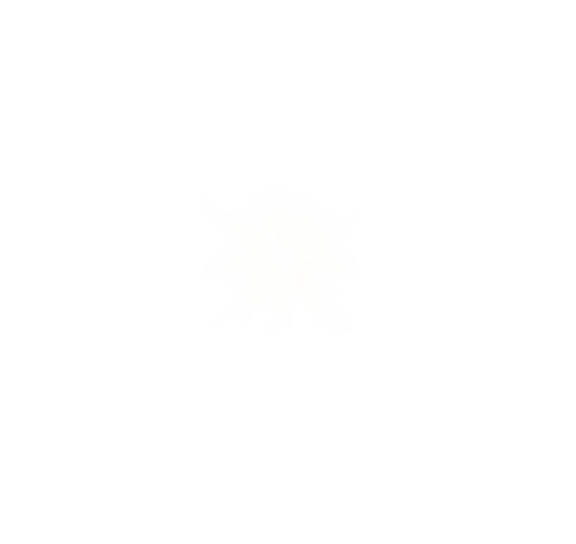 home2shape.png